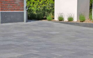 vietnamese hardsteen